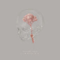 Sleep Party People - Lingering [Clear Vinyl]  (New Vinyl LP)