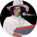 Sly Stone - Family Affair: The Very Best of Sly Stone  (Picture Disc)
