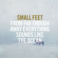 Small Feet - From Far Enough Away Everything Sounds Like The Ocean ((Vinyl))
