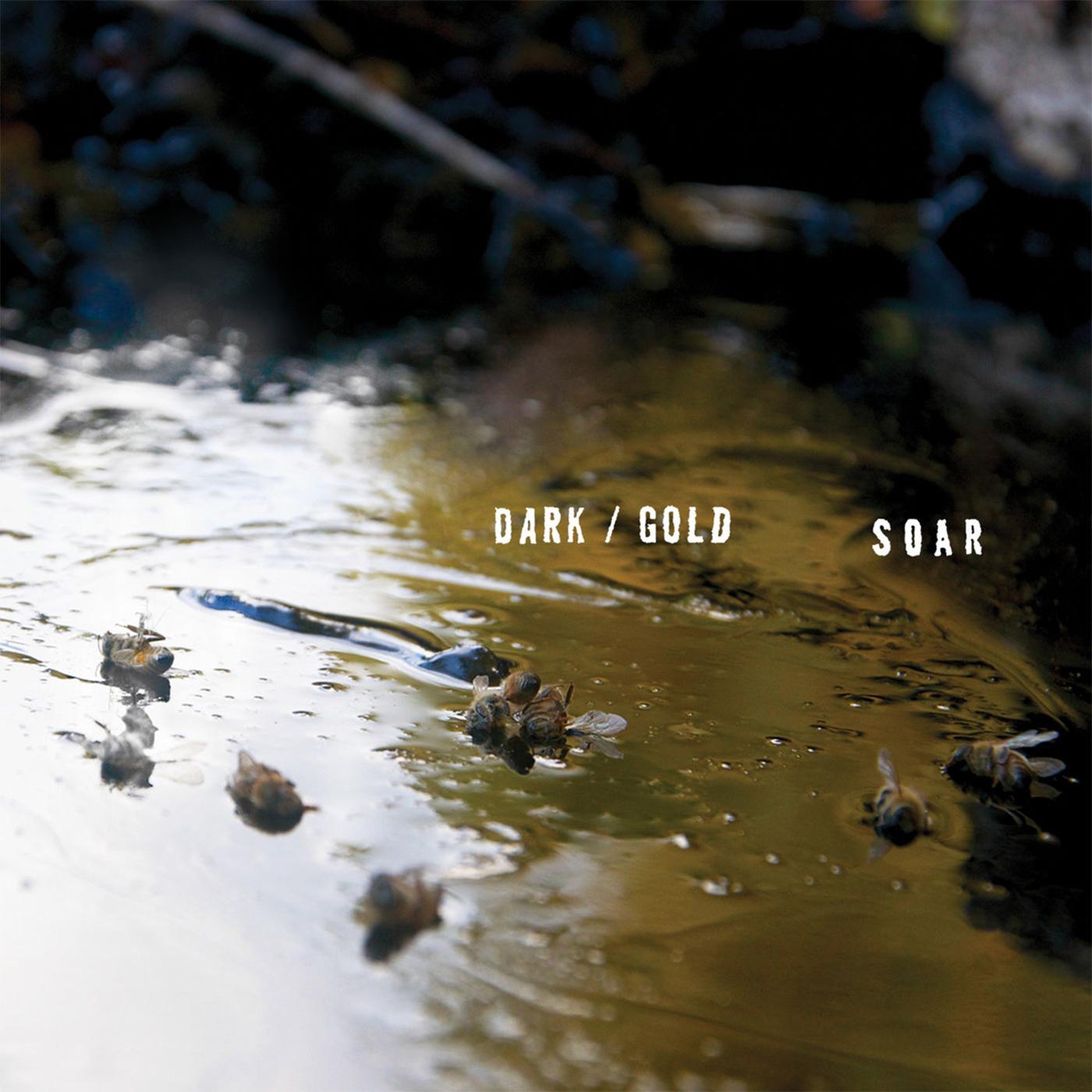 SOAR - dark / gold ((Vinyl))