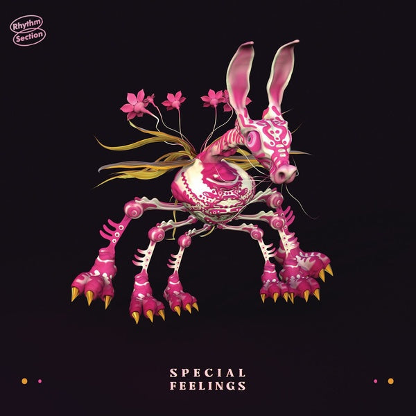 SPECIAL FEELINGS - Special Feelings ((Vinyl))