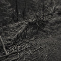 SULT - Always I Gnaw ((Vinyl))