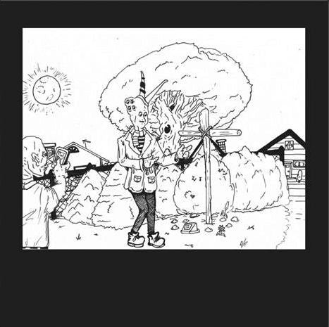 Teen Suicide -   It's the Big Joyous Celebration, Let's Stir the Honeypot  (New Vinyl LP)