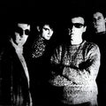 Television Personalities - The Painted Word  (New Vinyl LP)