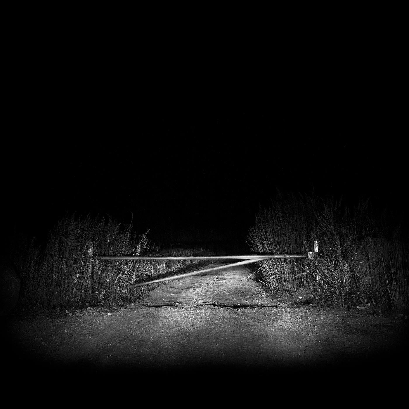 The Body - I Have Fought Against It, But I Can't Any Longer. [2xLP Gold Vinyl]  (New Vinyl LP)