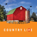 The Bolshoi - Country Life (GREEN & ORANGE VINYL) ((Vinyl))