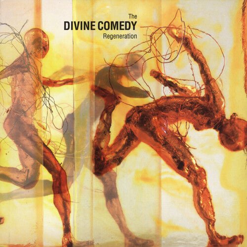 The Divine Comedy - Regeneration  (New Vinyl LP)