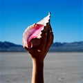 The Killers - Wonderful Wonderful  (New Vinyl LP)