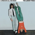 The Lemon Twigs - A Dream Is All We Know [Ice Cream Vinyl]  (New Vinyl LP)