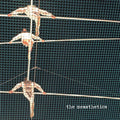 The Messthetics - The Messthetics  (New Vinyl LP)
