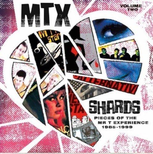 The Mr. T Experience (MTX) - Shards Vol. 2: Pieces of the Mr. T Experience 1985-1999  (New Vinyl LP)