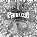 The Paisleys - Cosmic Mind At Play ((Vinyl))