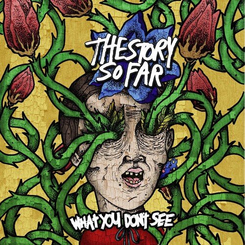 The Story So Far - What You Don't See [Colored Vinyl]  (New Vinyl LP)