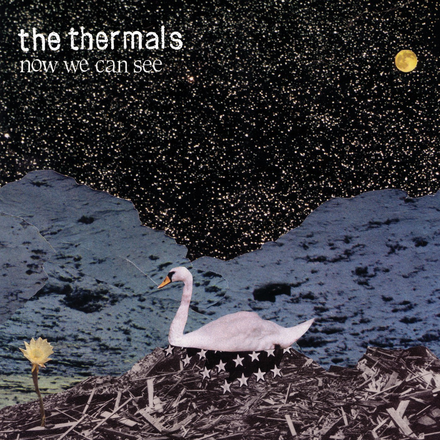 The Thermals - Now We Can See  (New Vinyl LP)