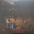The Weather Station - Ignorance   (New Vinyl LP)