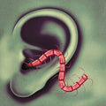 Thee Oh Sees - An Odd Entrances  (New Vinyl LP)