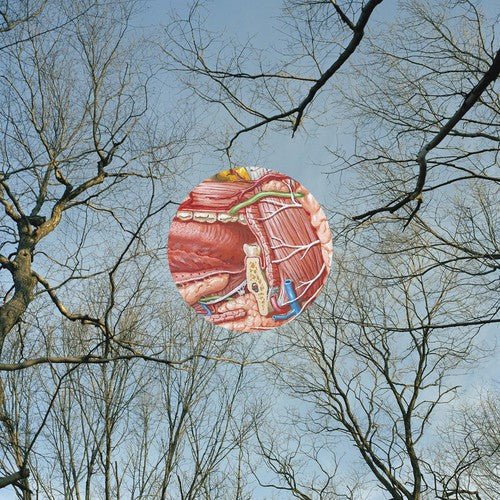 They Might Be Giants - Glean  (New Vinyl LP)