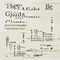 They Might Be Giants - I Like Fun  (New Vinyl LP)