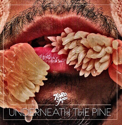 Toro y Moi - Underneath the Pine  (New Vinyl LP)