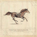 Turnpike Troubadours - A Long Way From Your Heart  (New Vinyl LP)