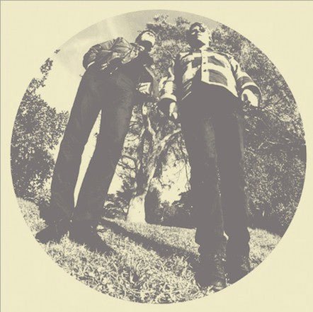 Ty Segall & White Fence - Hair  (New Vinyl LP)