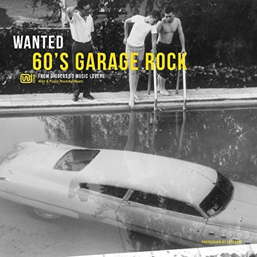 Various Artists - Wanted: 60's Garage Rock  (New Vinyl LP)