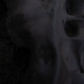VITO GATTO - Evolve ((Vinyl))