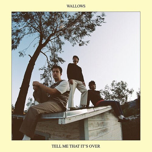 Wallows - Tell Me That It's Over  (New Vinyl LP)