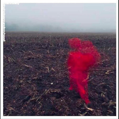 Will Varley - The Hole Around My Head  (New Vinyl LP)
