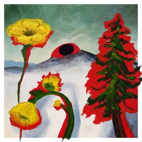 Woods - Strange To Explain  (New Vinyl LP)
