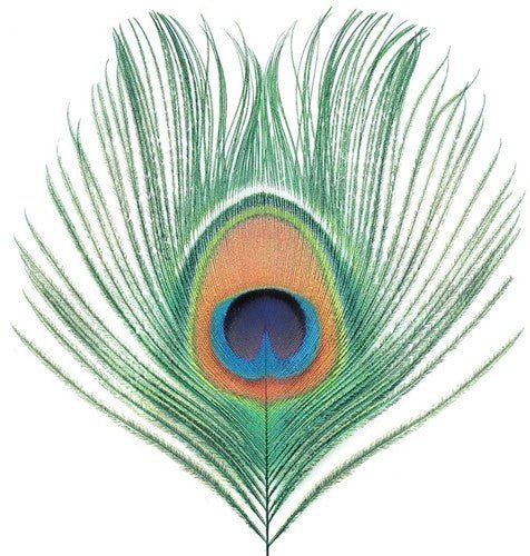 XTC - Apple Venus Vol 1 [Import]  (New Vinyl LP)
